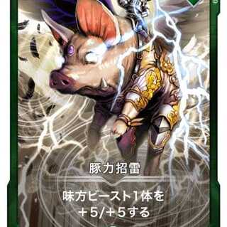 【silver】豚力招雷 入手困難品