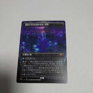 見捨てられたぬかるみ、竹沼　ボーダレス