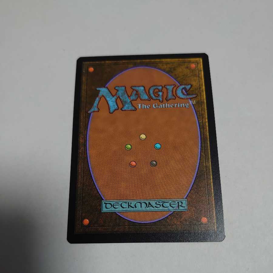 Abandoned Slush, Bamboo Swamp Borderless