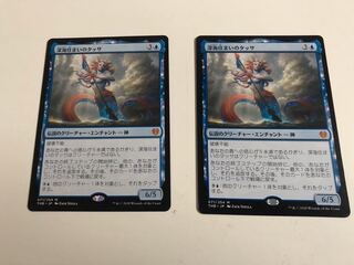 深海住まいのタッサ　２枚セット