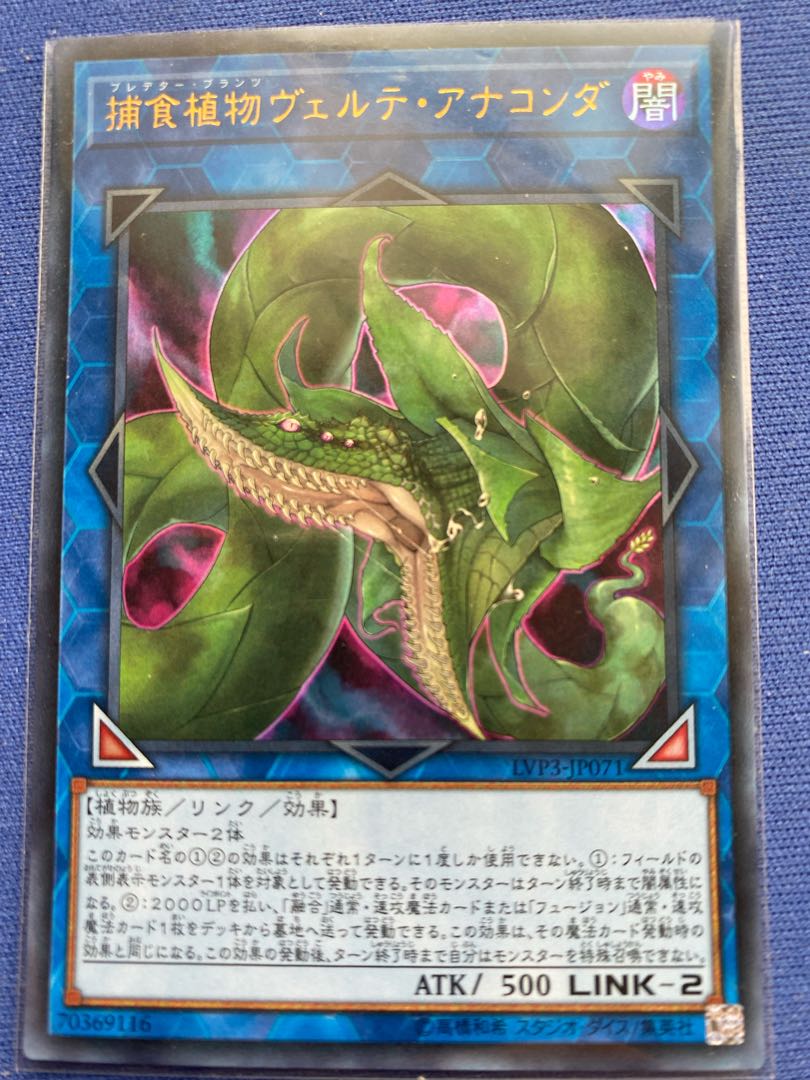 Predaplant Verte Anaconda