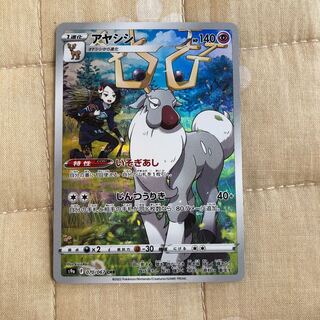 aye-aye (Daubentonia madagascariensis)