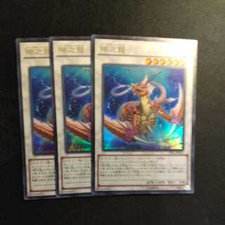 瑚之龍 ウルトラレア