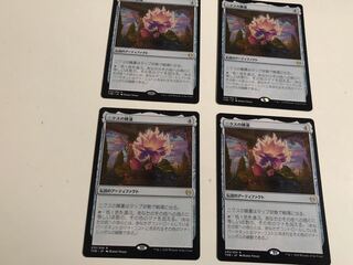 ニクスの睡蓮　４枚セット