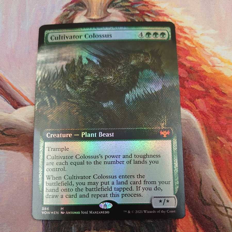 銀砂利様専用 Foil 電結の荒廃者 英語4枚まとめ売り