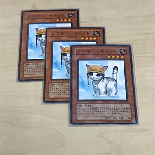 [Slight Scratches] Rescue Cat Set of 3