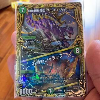 闘争類拳嘩目 ステゴロ・カイザー｜お清めシャラップ