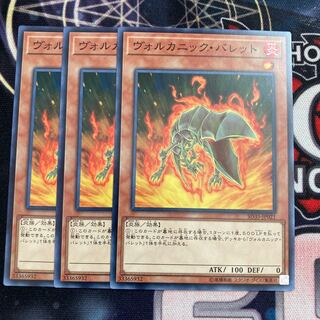 Volcanic Shell Normal 3pcs Special Price