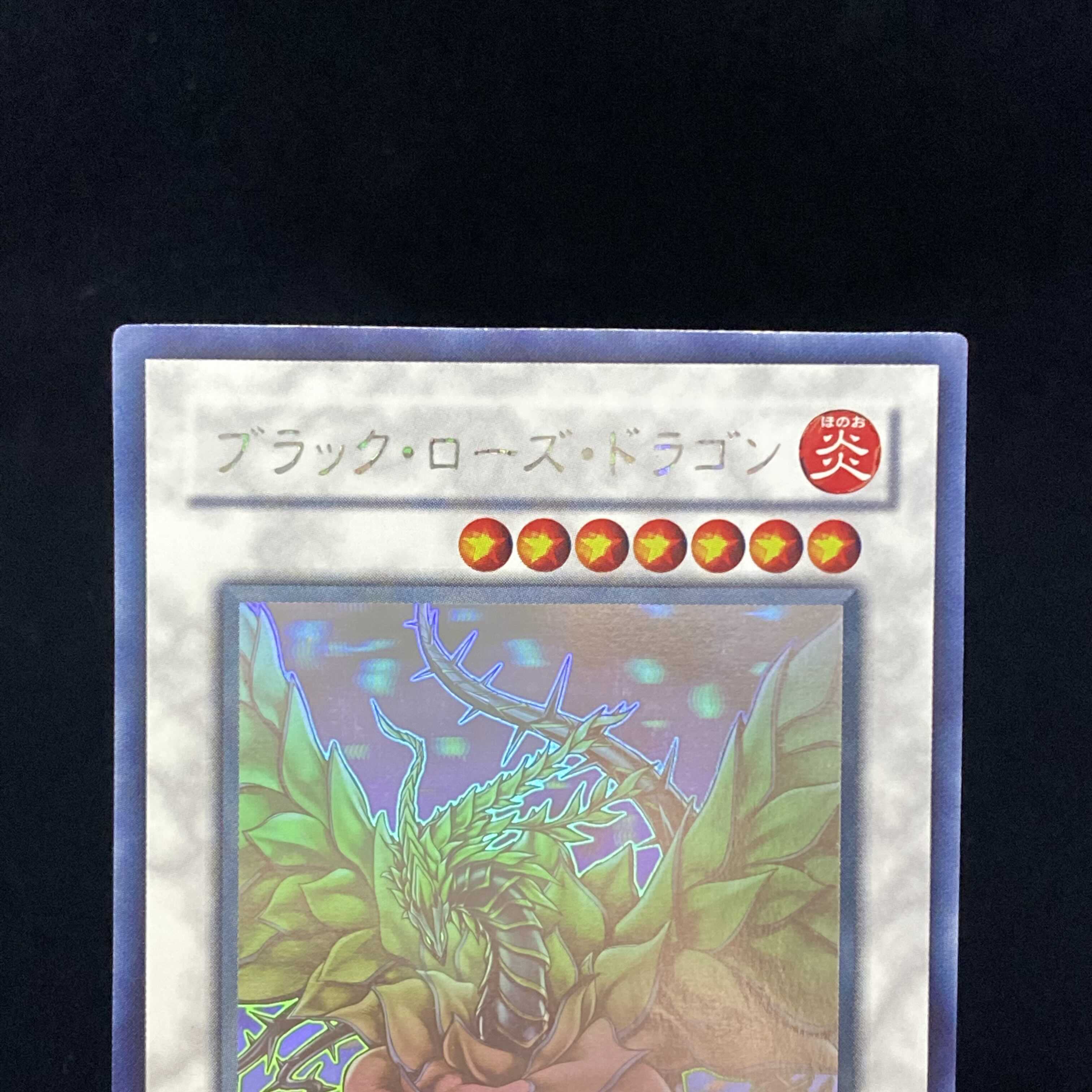 magi special price] Black Rose Dragon Holographic Rare