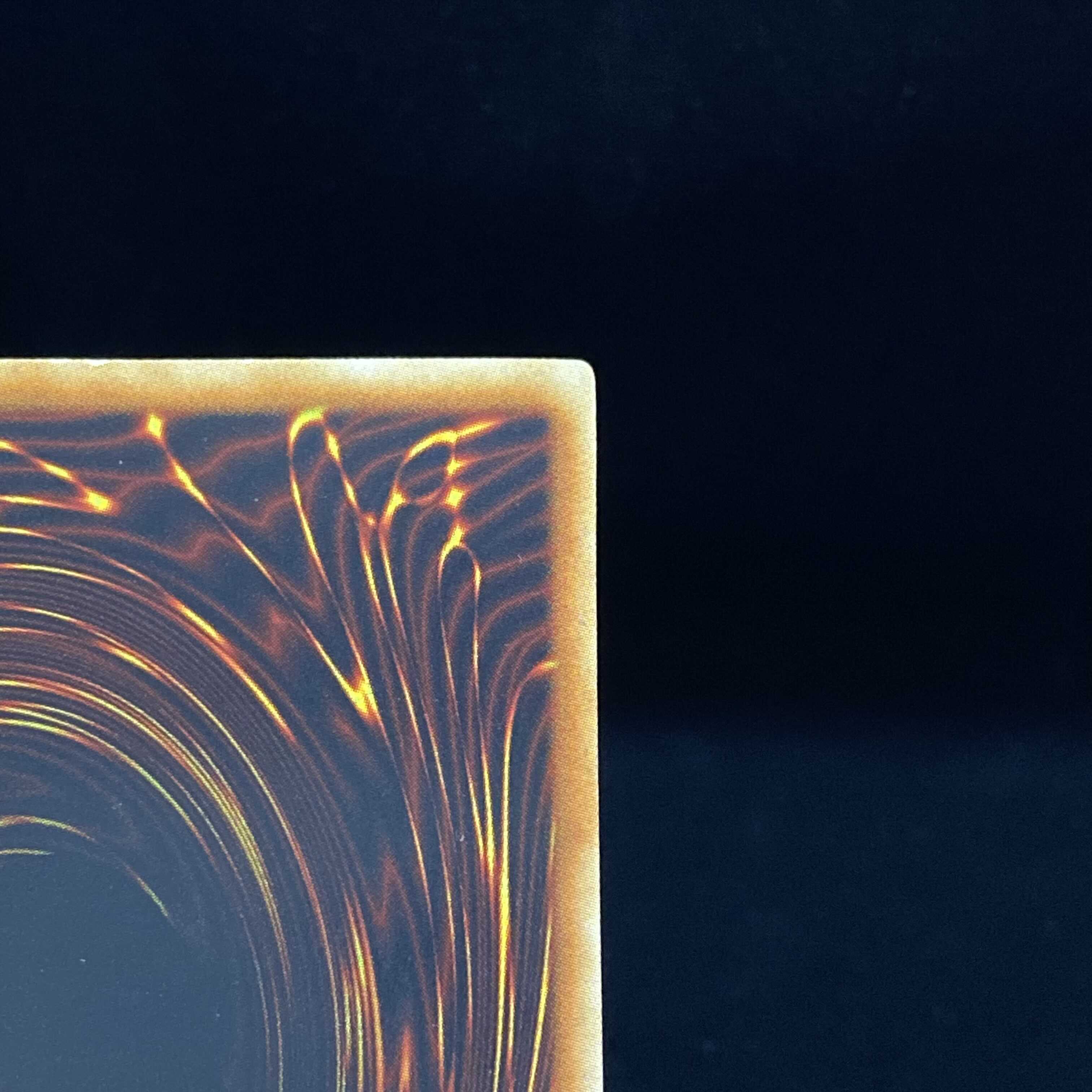 magi special price] Black Rose Dragon Holographic Rare