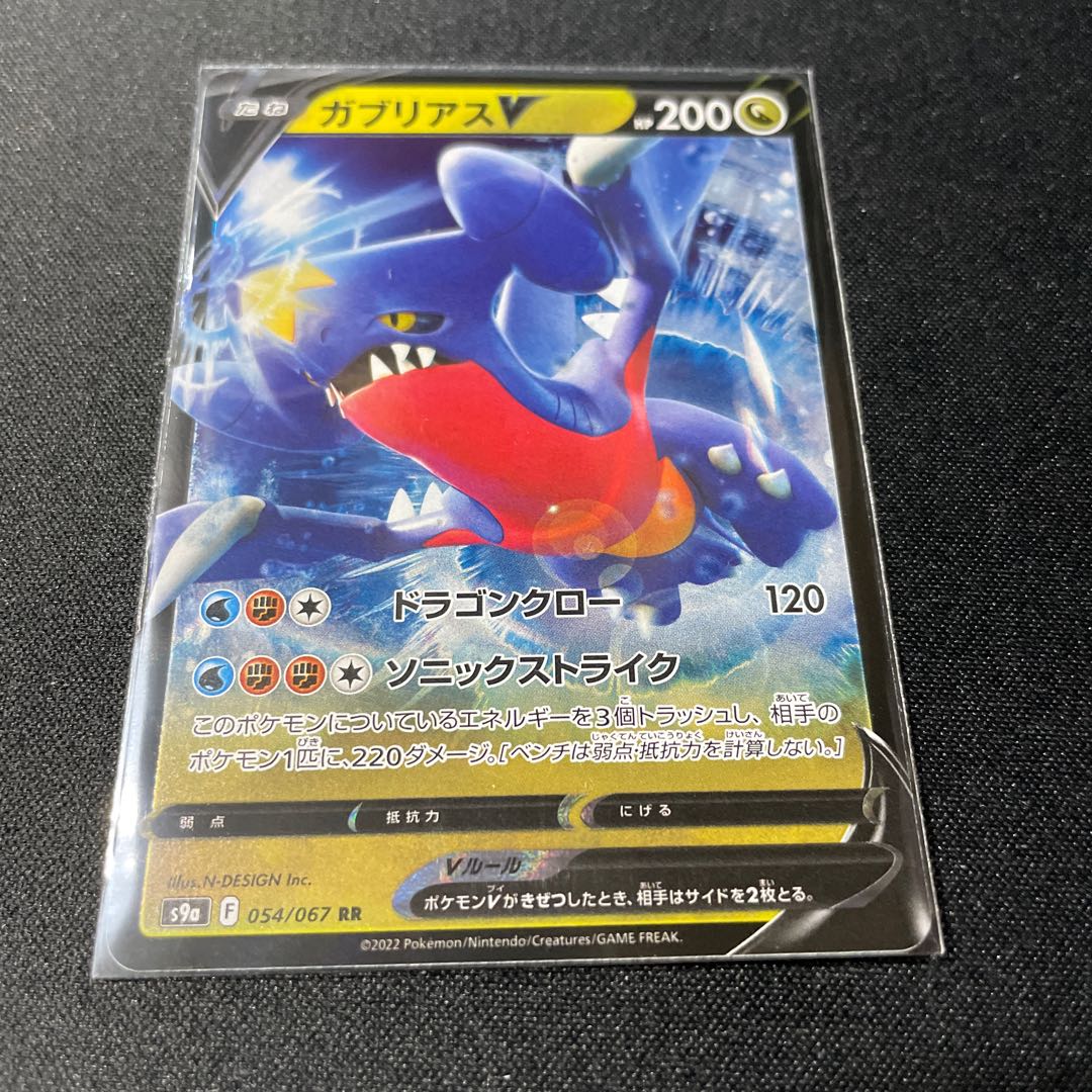 GarchompV RR
