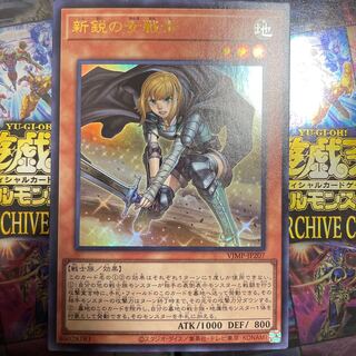 The New Woman Warrior