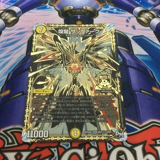 煌龍サッヴァーク  秘3