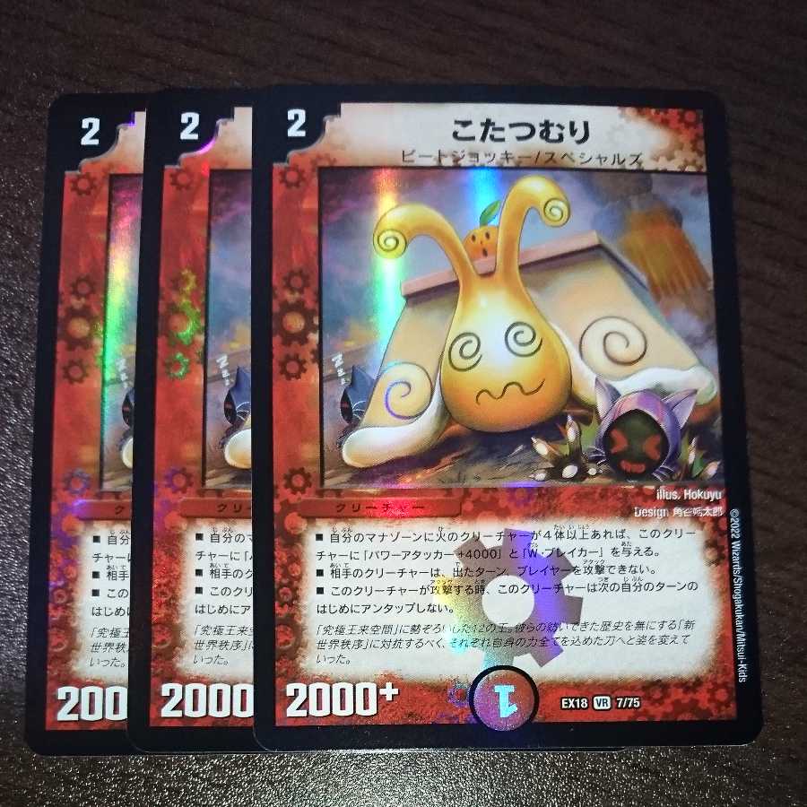 Kotatsumuri (with enclosed discount)