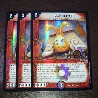 Kotatsumuri (with enclosed discount)