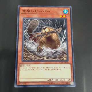 Nimble Beaver✕3 Normal rare [Korindo].