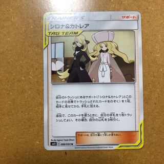 シロナ＆カトレア