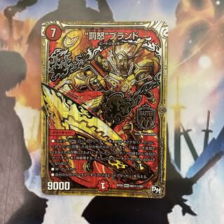 "Punishment rage" brand (set discount)