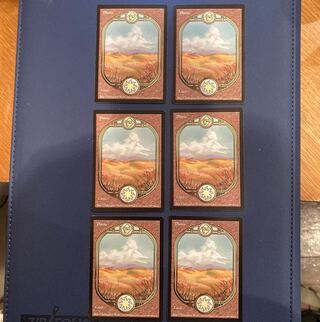 UGL Plains Basic Land Card Set (6 cards)