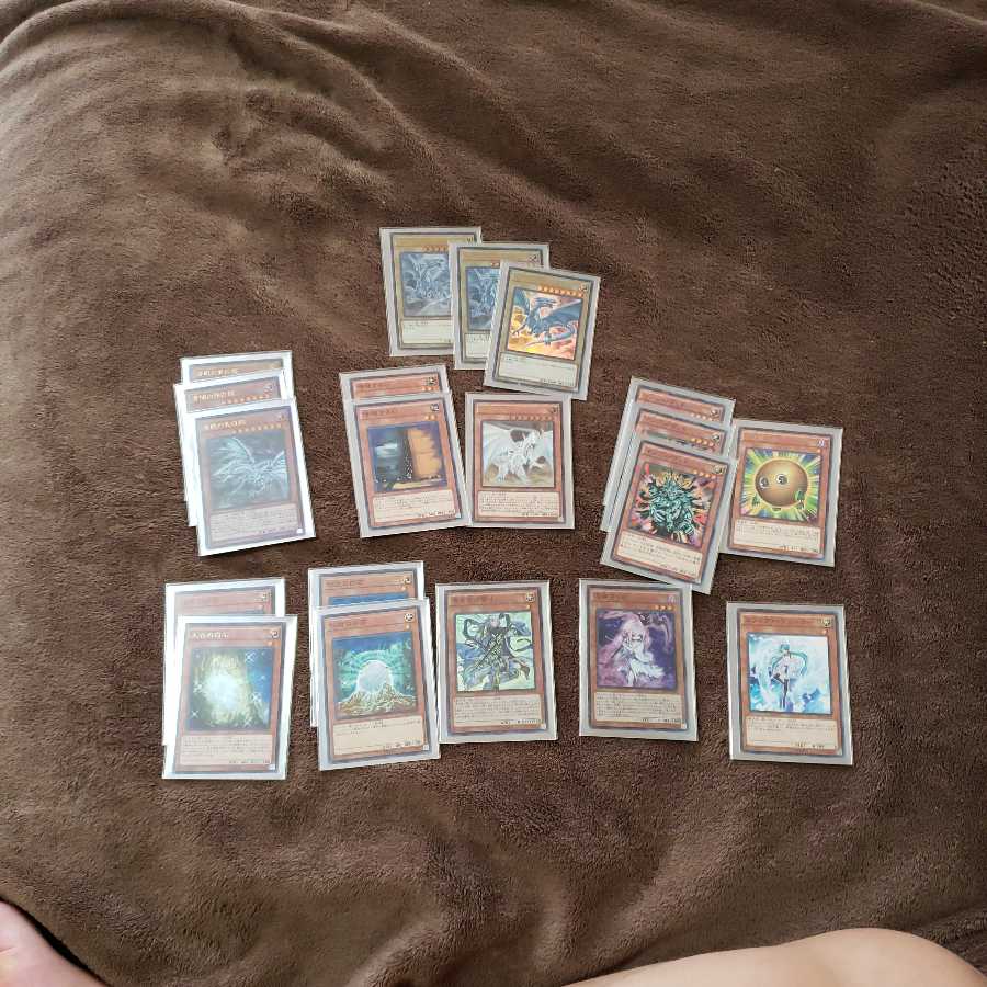 儀式青眼デッキ 1枚