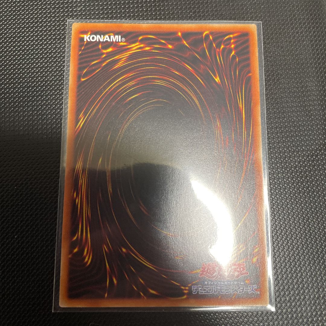 Dynorphia kentoregina Ultimate Rare Relief