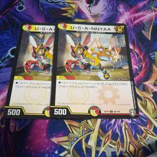 U. S. A. N. Y. A. U.