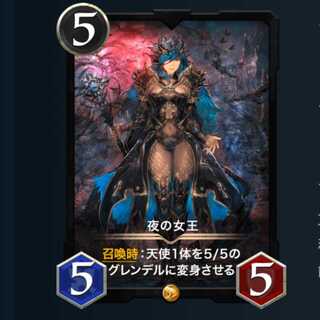 クリスペの様専用 ２枚セット 夜の女王