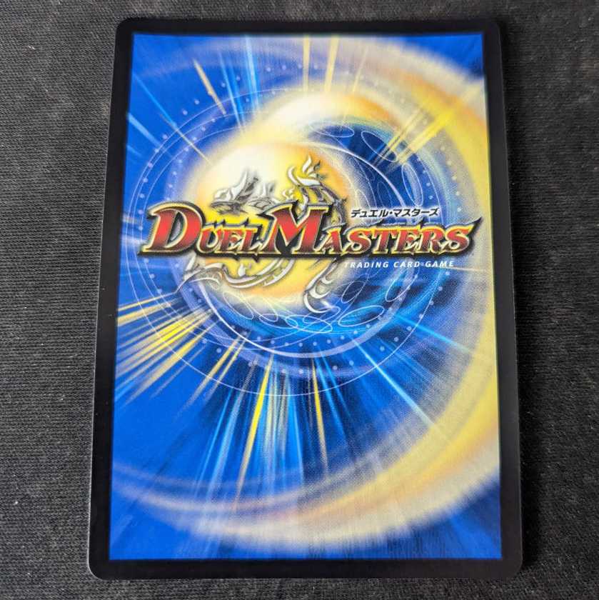 Absolute shield knight" (20th rare specification) A