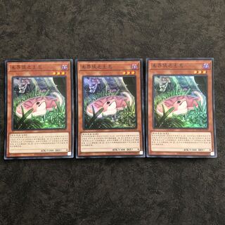 Chinese Danger! Tsuchinoko? 3 Super Rare