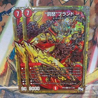 "Angry Punishment" brand, set of two.