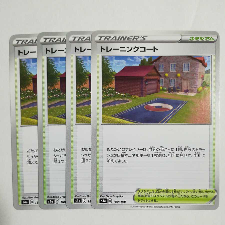 Training Court Set of 4