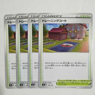 Training Court Set of 4