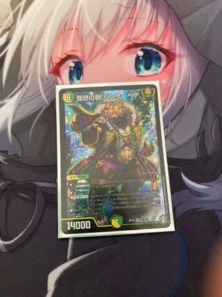 我怒の鎖 パンサーベア