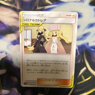 シロナ　カトレア