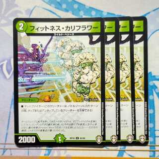 フィットネス・カリフラワー