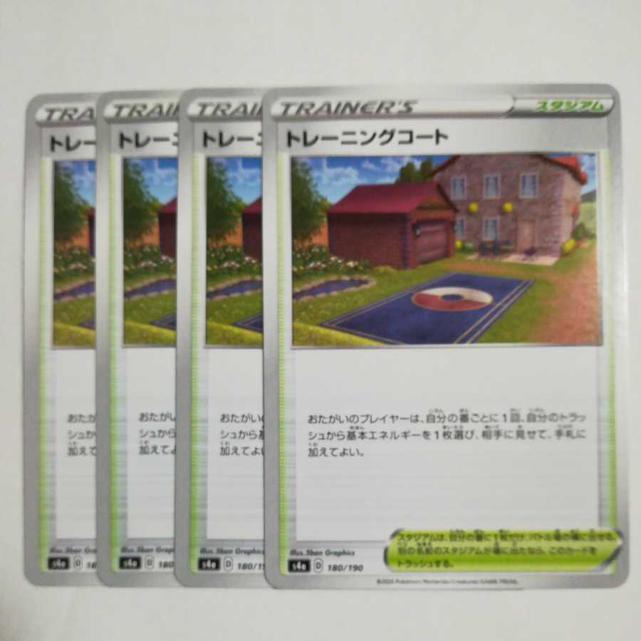 Training Court Set of 4