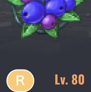 Lv80ウィズダムブルーベリー