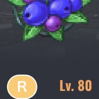 Lv80ウィズダムブルーベリー