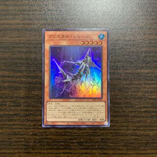 Squirrel Shark Super Rare