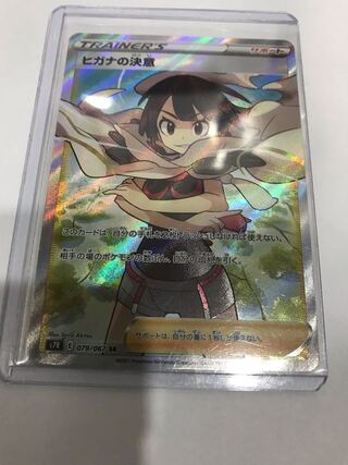 Zinnia's Determination SR