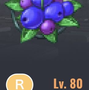Lv80ウィズダムブルーベリー