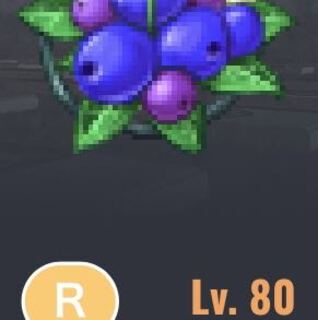 Lv80ウィズダムブルーベリー