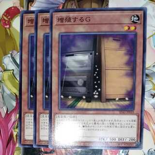 Maxx "C" normal, set of 3