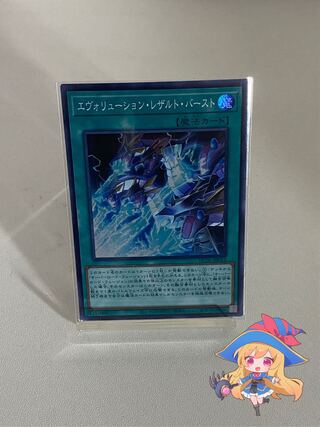 [SR] Evolution Result Burst