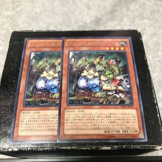 Traptrix Dionaea Rare 2 copies confirmed for pre-order