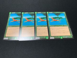 Birds of Paradise 4 pieces