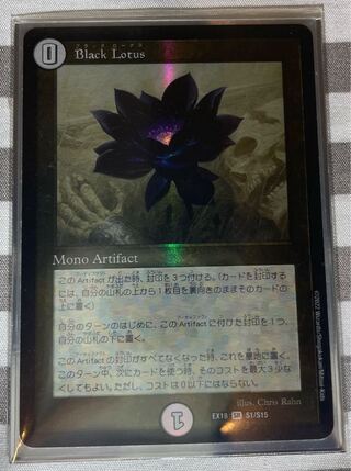 black lotus