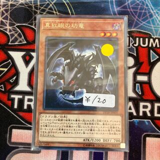 真紅眼の幼竜 レア　1枚特価品