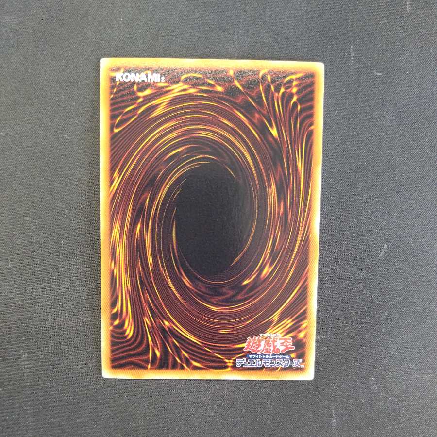 熱血指導王ジャイアントレーナー