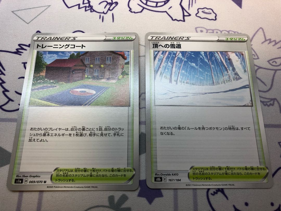 Training Court Snow Road to the Top